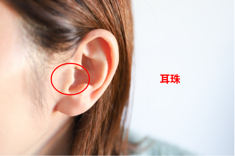 顎の痛みを改善するための耳珠（じじゅ）と呼ばれる部位